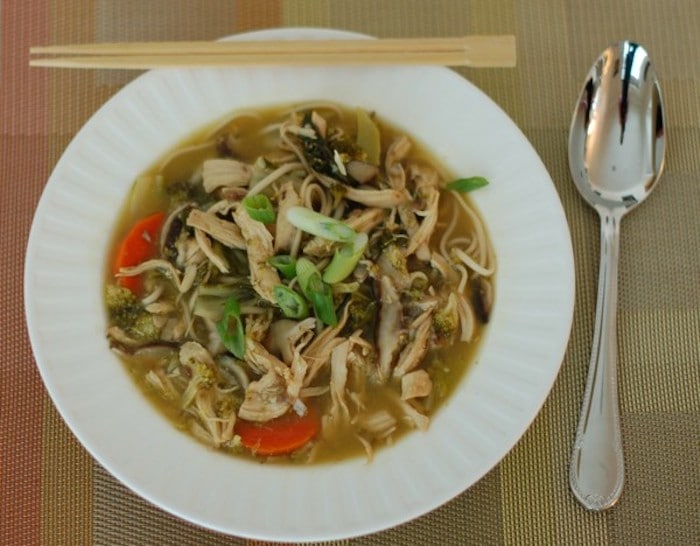 Chicken Vegetable Udon Soup Overhead in Bowl