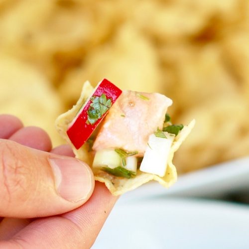 Fresh Salmon Ceviche with Cucumbers and Radishes