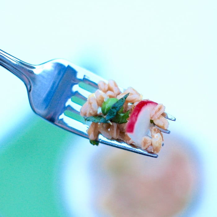 close up of farro salad on fork