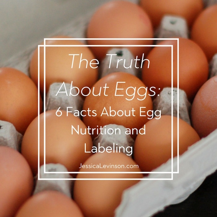 Egg Nutrition