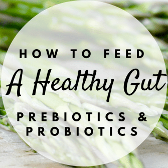 Learn all about prebiotics and probiotics, why they are important, and how you can get them in your diet! @jlevinsonrd