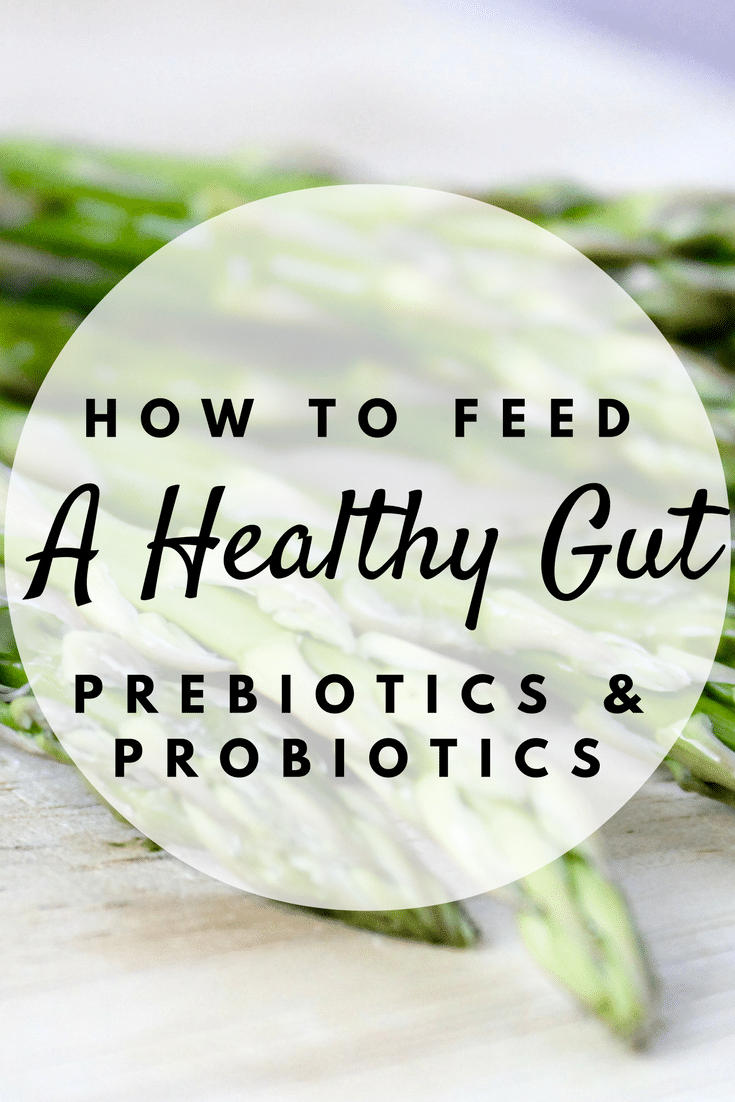 Prebiotics And Probiotics - Your Guide To A Healthy Gut